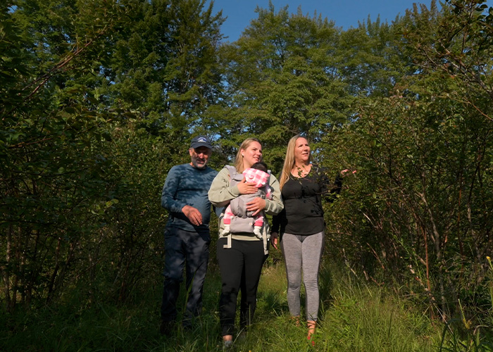 Four people walking amongst blueberry bushes