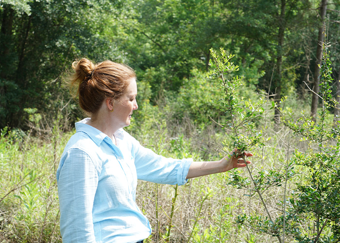 Person inspecting a bush