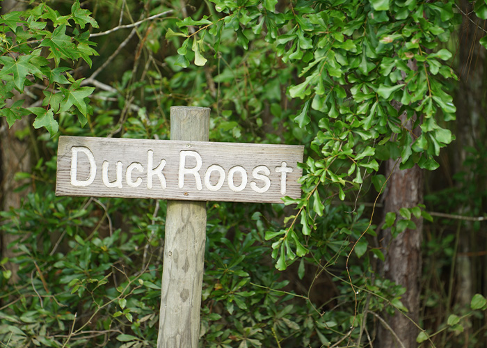 Wooden sign that says duck roost