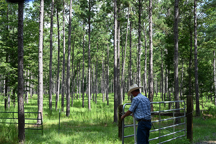 Person opening a gate