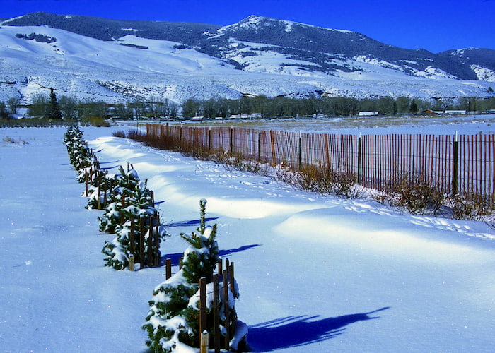 Photo of mounds of snow caused by drifting snow