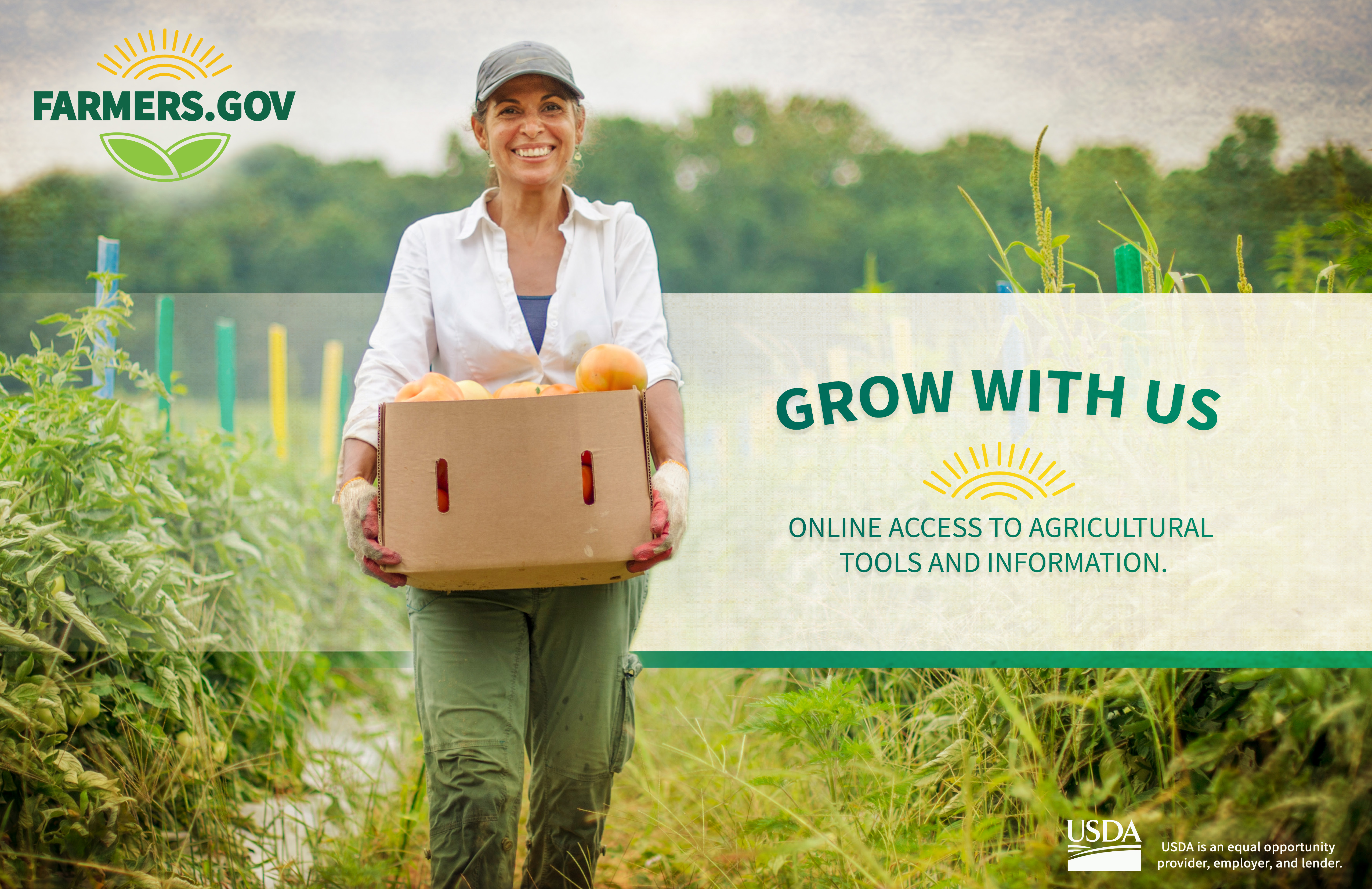 Farmers.gov poster with producer and vegetables large