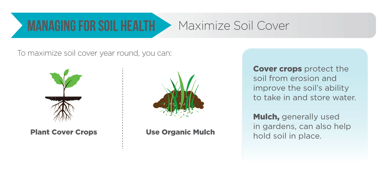 Maximize Soil Cover