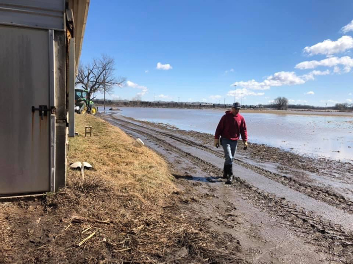 Flood damage on Bill Luckey Farm in Columbus, Nebraska. USDA photo by Bill Luckey.