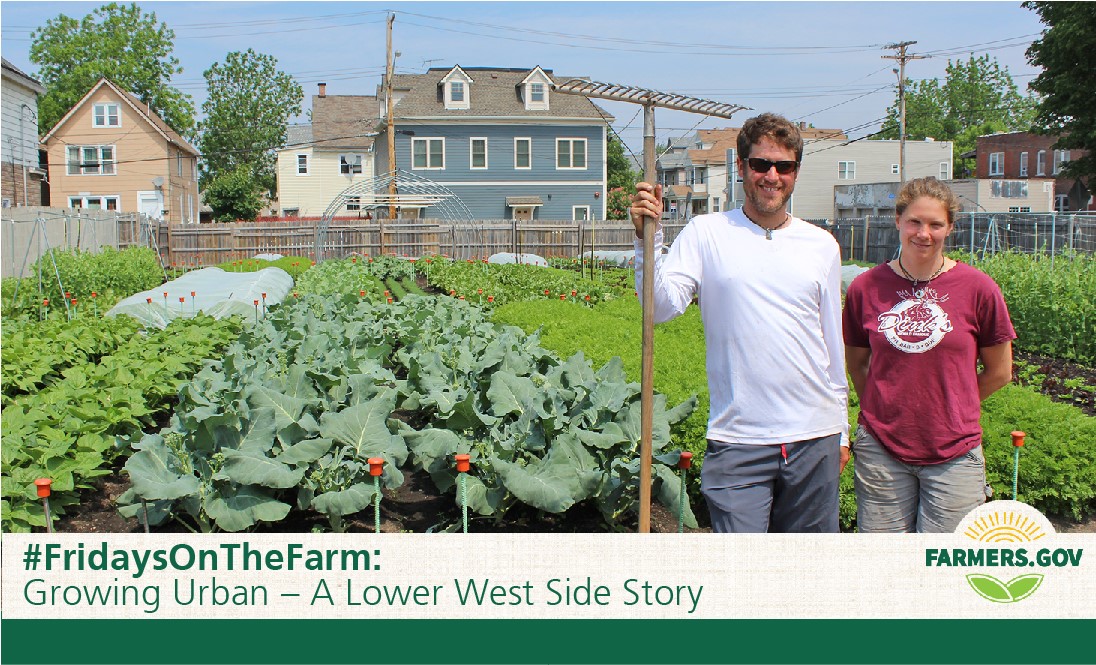 This Friday, meet Carrie Nader and Alexander Wadsworth, owners of Westside Tilth Farm in Buffalo, New York. 