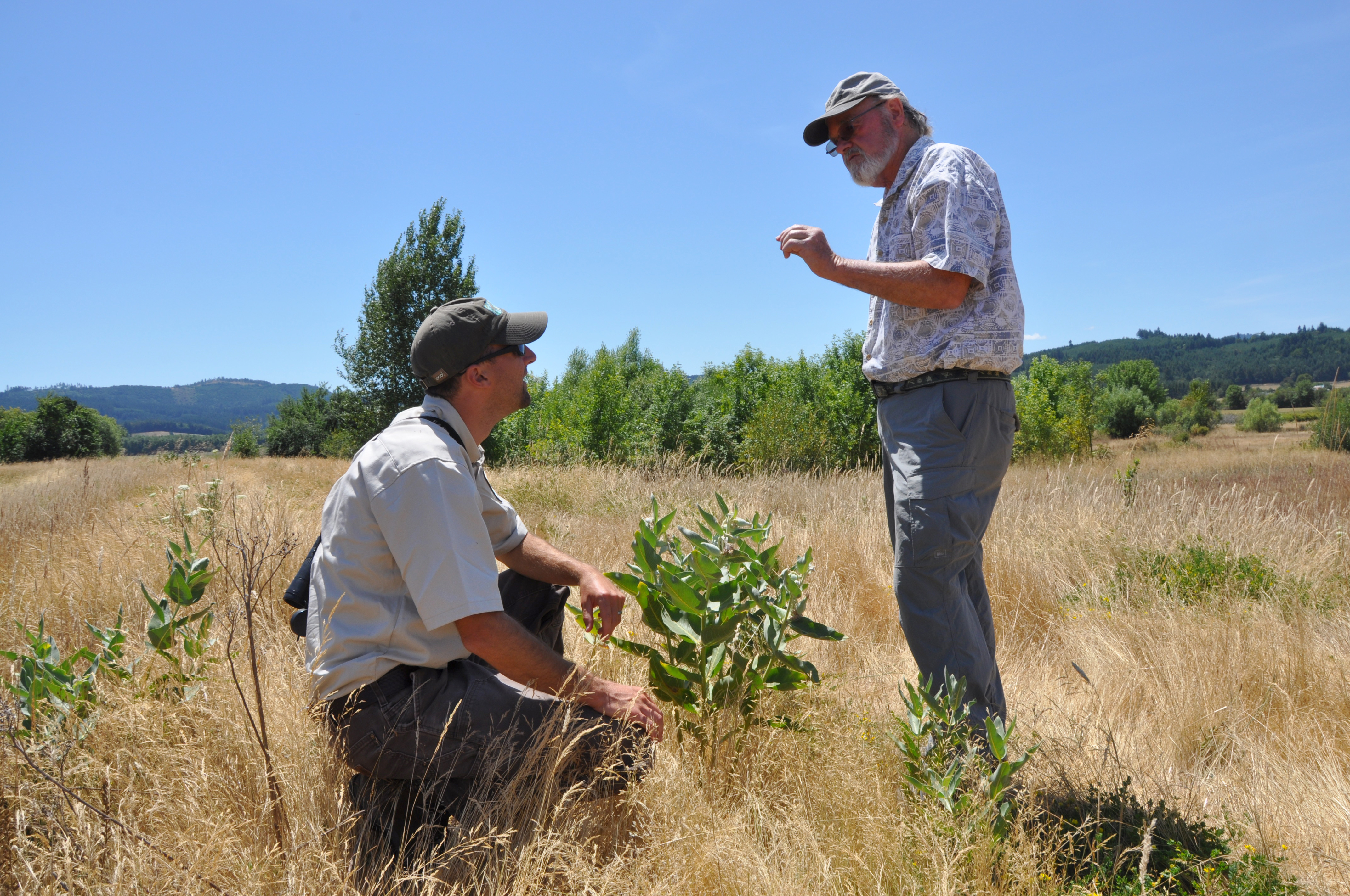 USDA has a wide variety of options for landowners wanting to improve pollinator habitat on their land while improving the bottom line of their operation. 