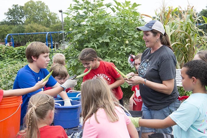 Moss Haven Elementary features 23 raised beds where each class grows and harvests their own crops.
