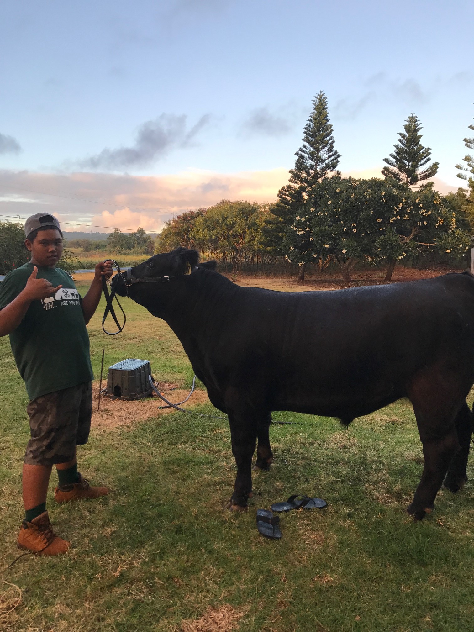 The FSA Youth Loan provided Hokuao Arce with the capital he needed to purchase market animals, feed and supplies to show the animals at the County and State Expos.