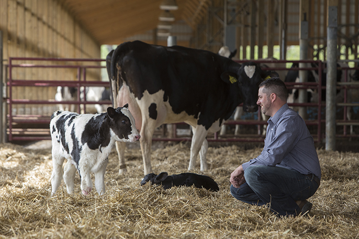 Frank Burkett is a fifth-generation dairy farmer, who moved home at graduating from Ohio State University to work on the family farm. Photo courtesy of the Ohio Farm Bureau Federation.