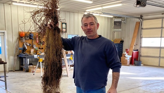 Person smiling while holding grass