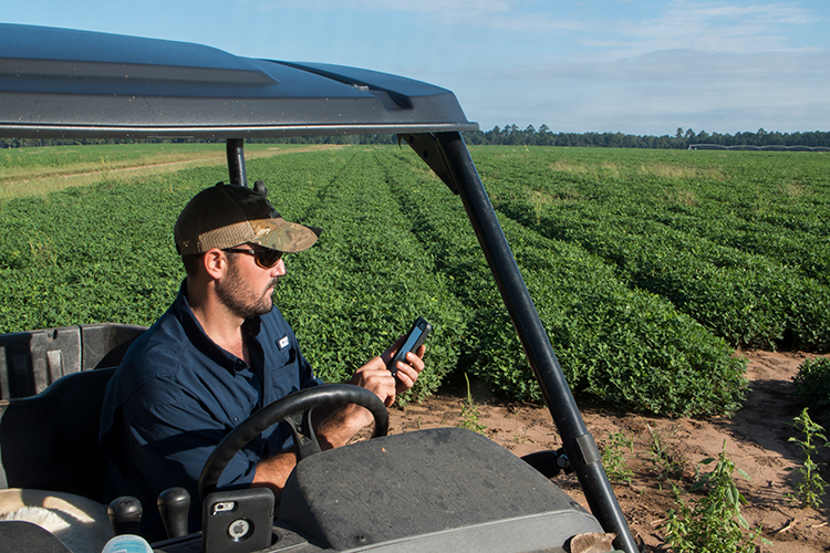 A Georgia peanut farmer using his smartphone to monitor his crop’s water needs.