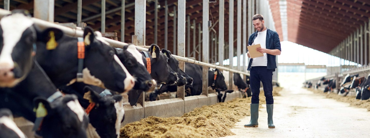 Farmers.gov