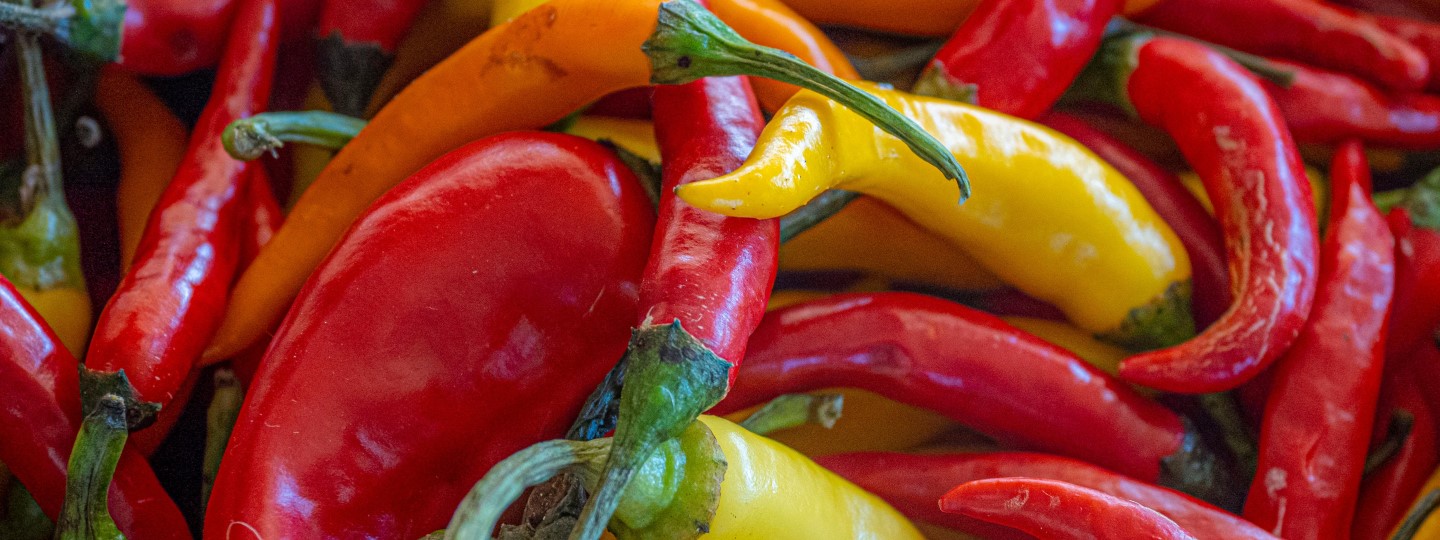 Colorful peppers