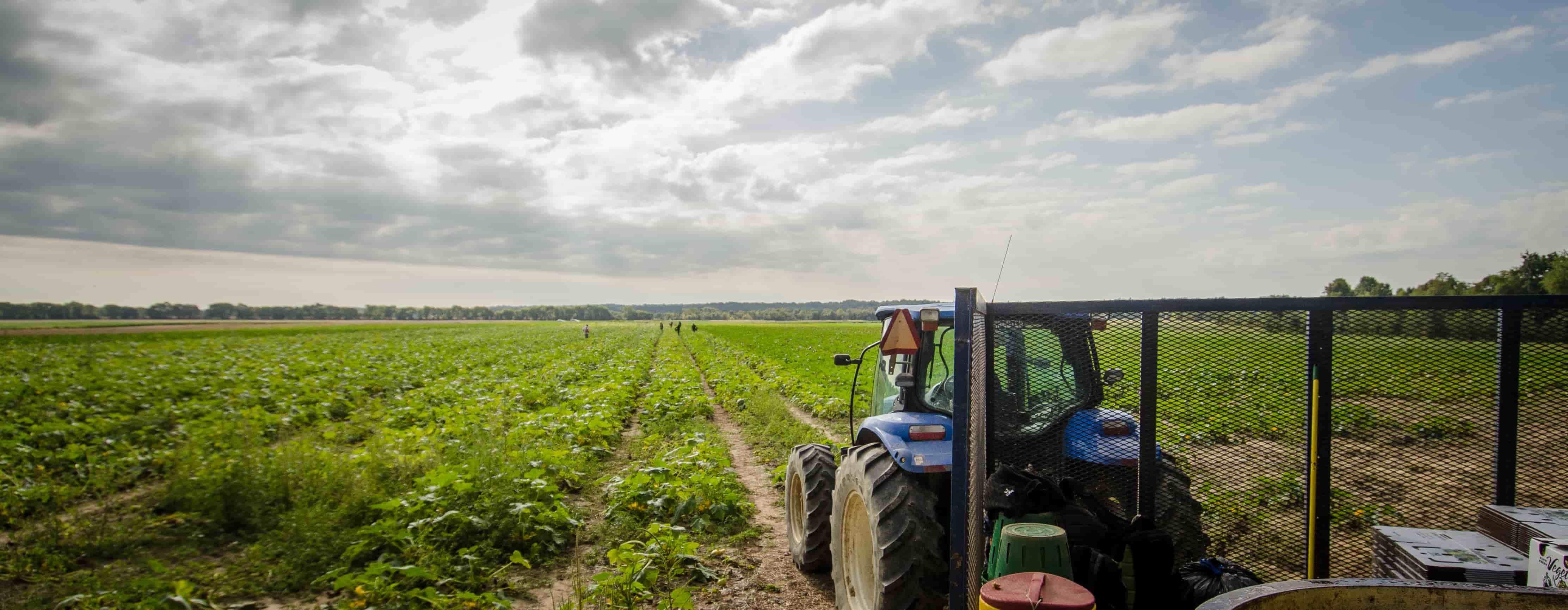 Blue tractor in a field