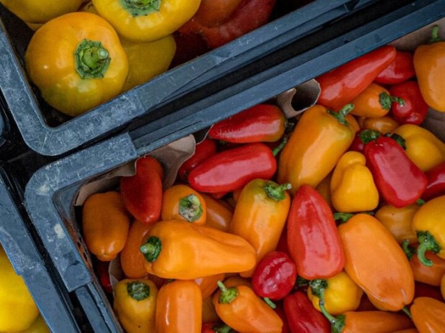 Brightly colored peppers