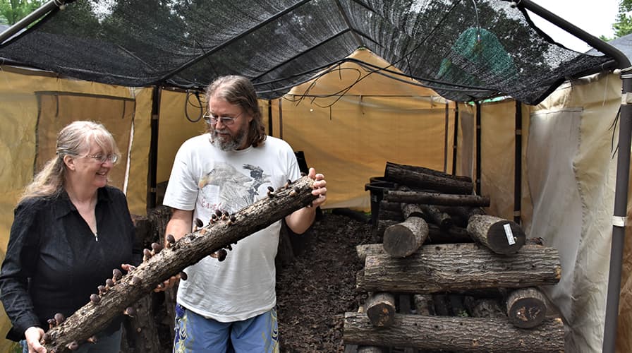 Ingrid and Paul West holding a log with mushrooms