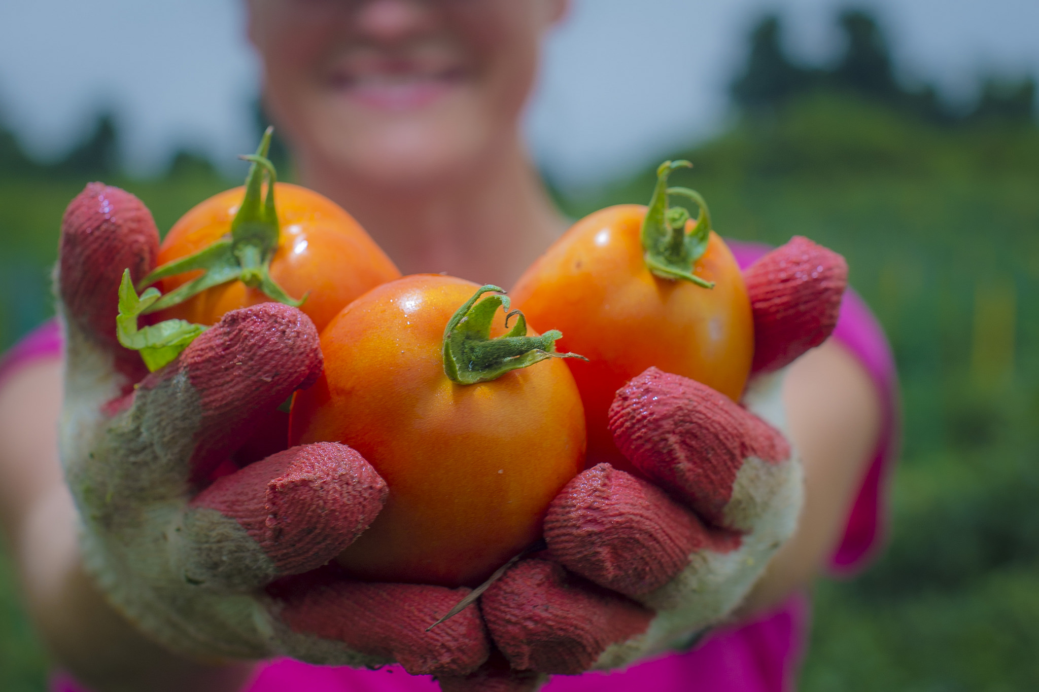 A close up photo of hands holding vegetables.