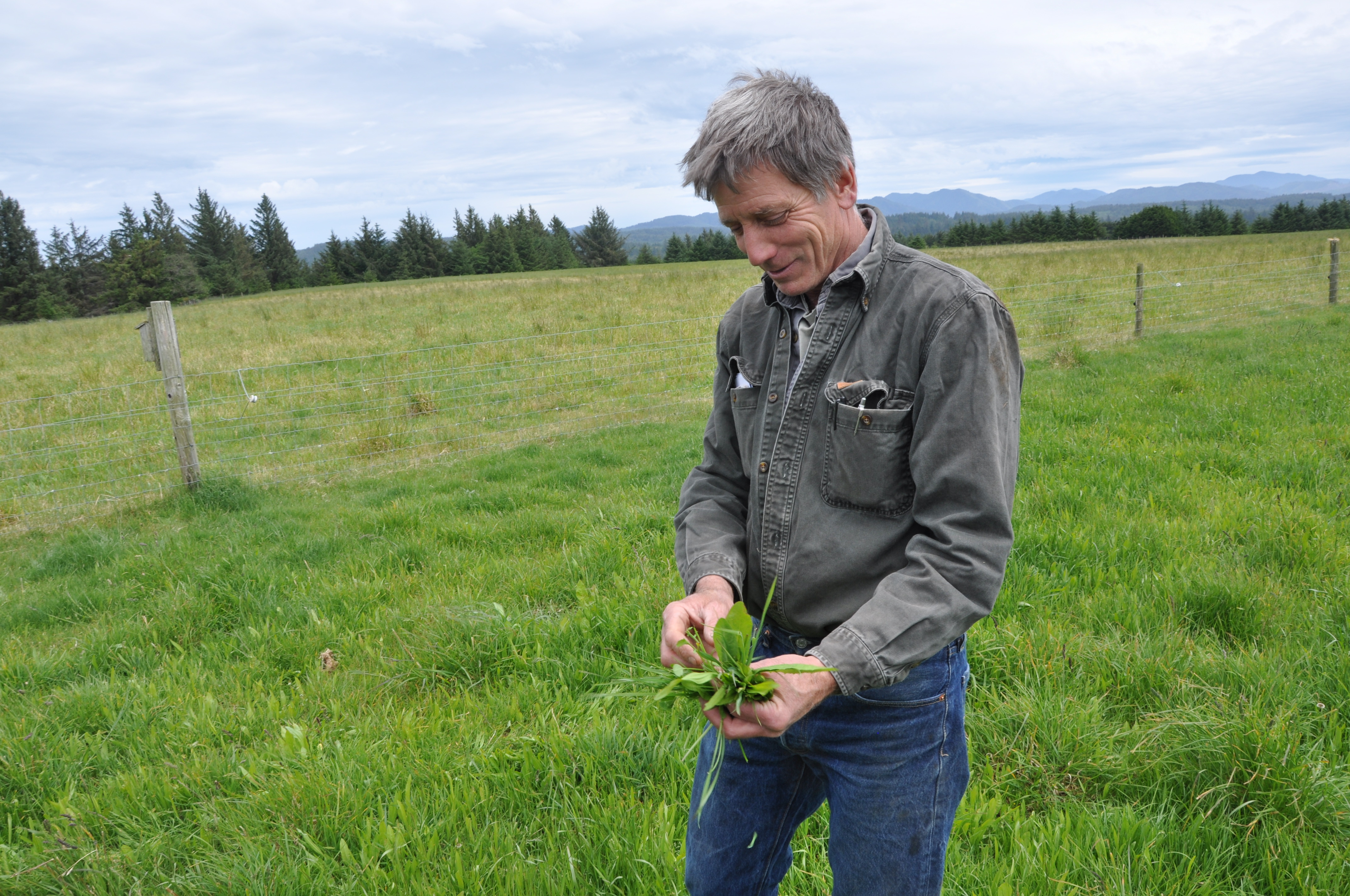 Pete Wahl holds healthy grasses from the Wahl Family Farm in Oregon.