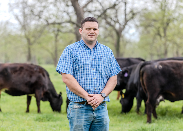 A person standing in front of a group of cows
