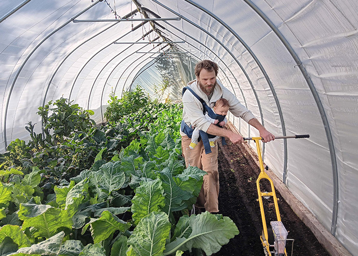 Person in a high tunnel with plants