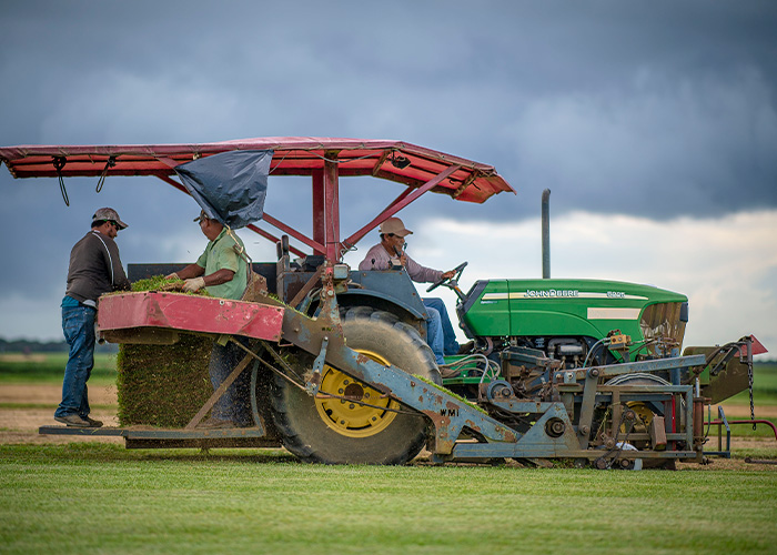 Three people on a grass cutting tractor