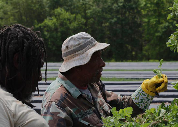 Person holding piece of a plant