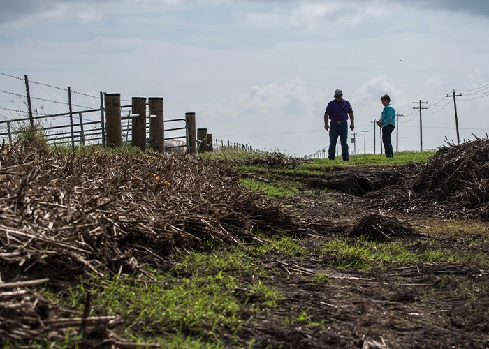 Two people walking in grass