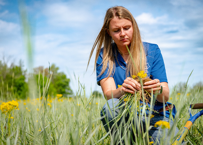 Person kneeling picking plants