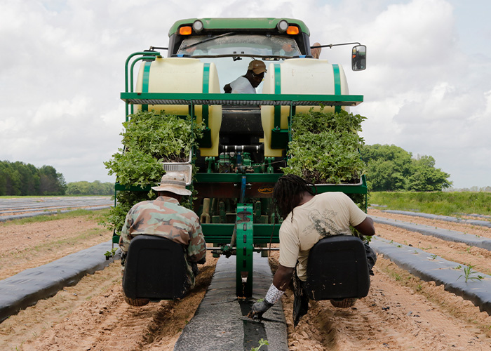 Three people riding on a seeding machine