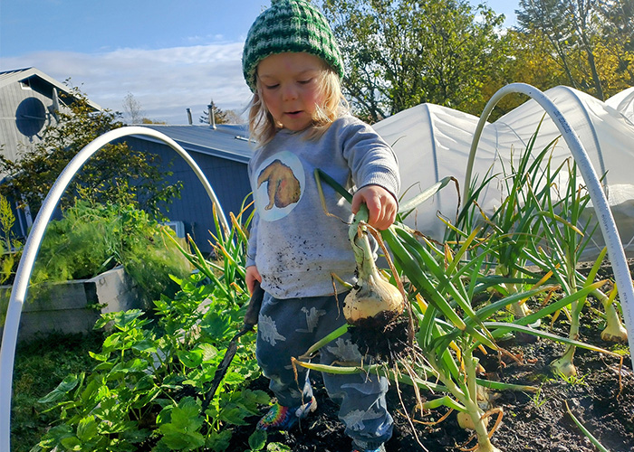 Young kid holding a turnip inside of a low tunnel