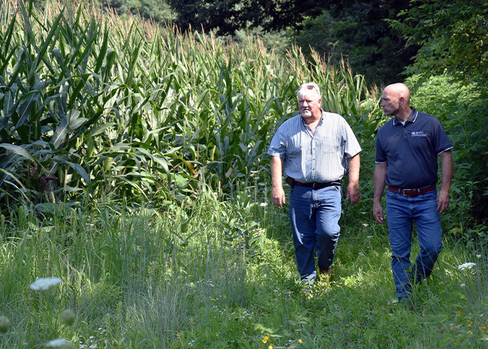 Two people walking on a grassy trail