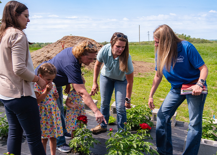 Five people inspecting plants