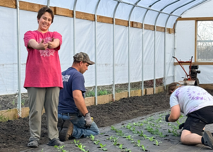 Three people planting seedlings