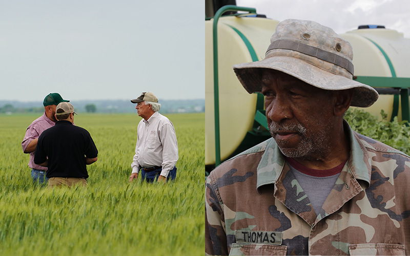Four people in a field