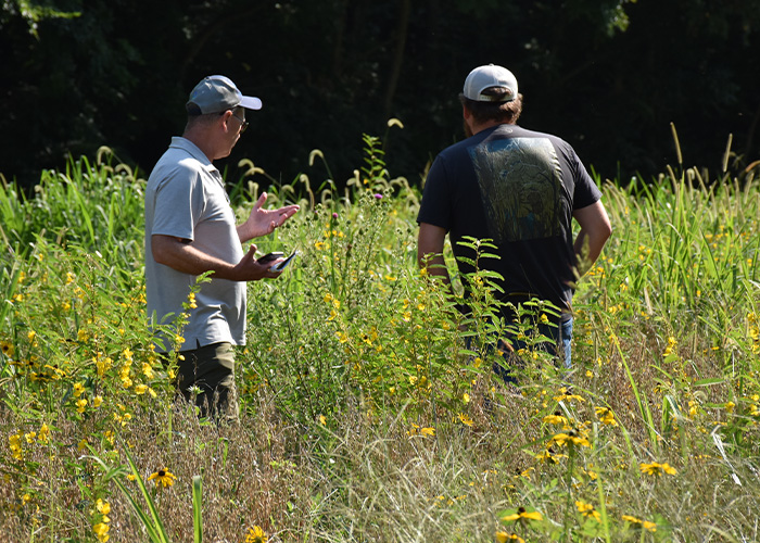 Two people standing amongst tall flowers