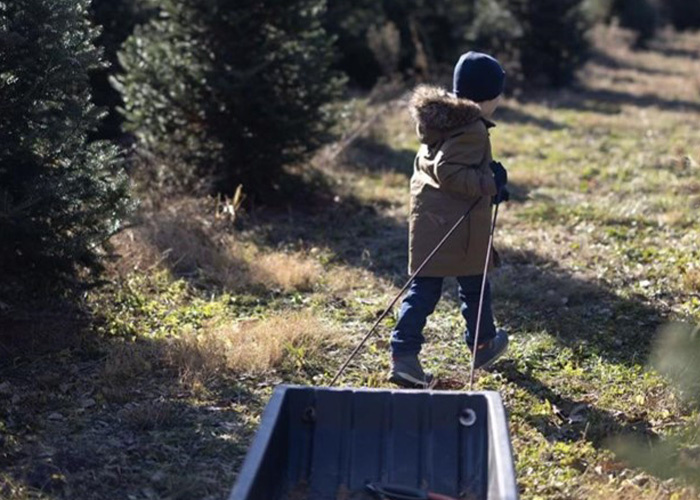 Person pulling a cart