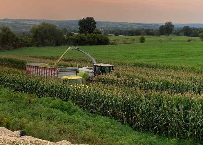 Tractor and truck harvesting crops