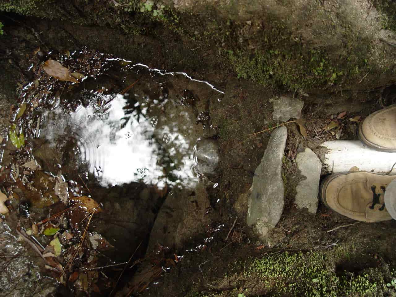 Photo of water seeping from the soil