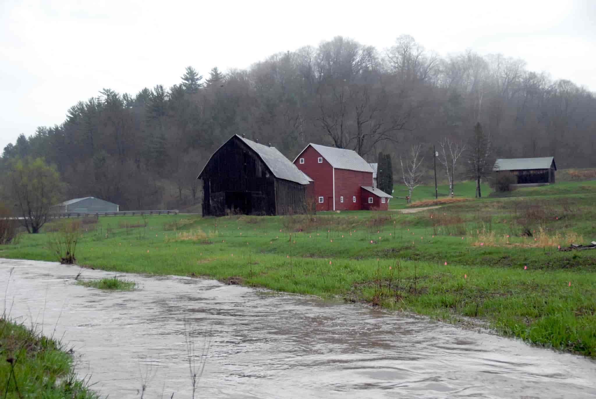 Photo of a rain-swollen stream