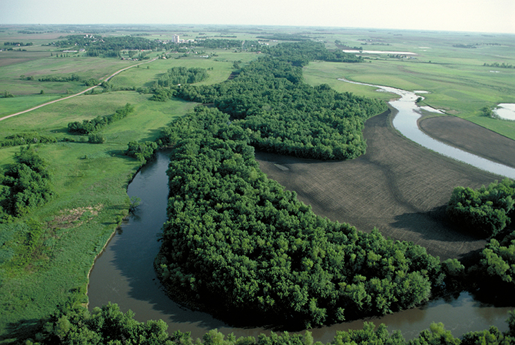 Aerial view of riparian forest buffers.
