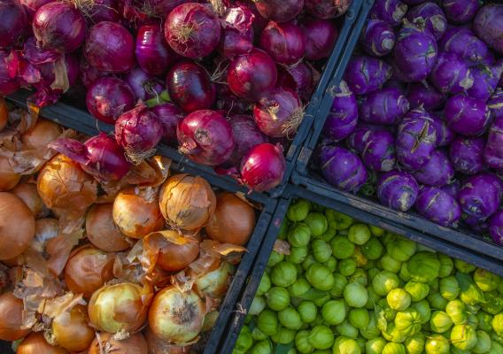 Colorful vegetables in crates