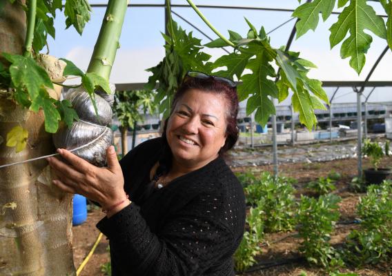 Maria Alonso picking fruit