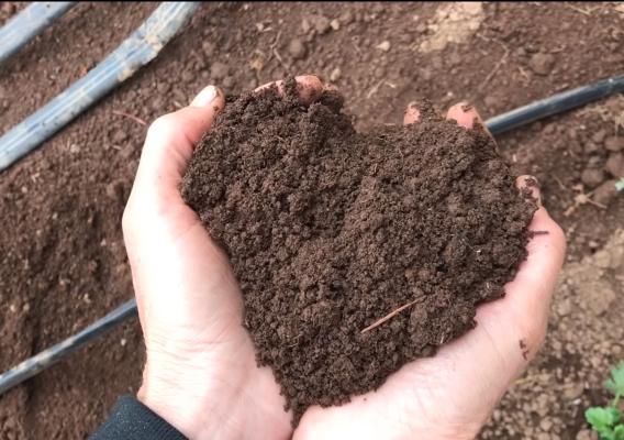 Hands holding dirt