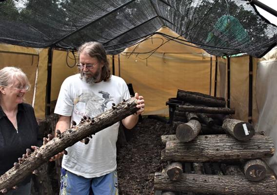 Ingrid and Paul West holding a log with mushrooms