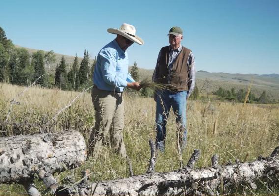 NRCS employee and rancher examining brush