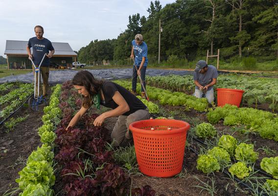 young farmers in a field