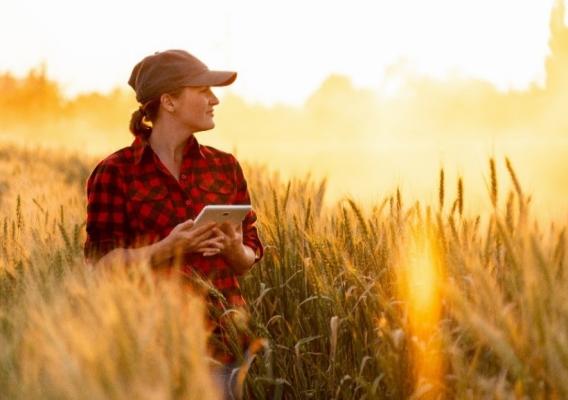 Female stand in field holding tablet looking into distance