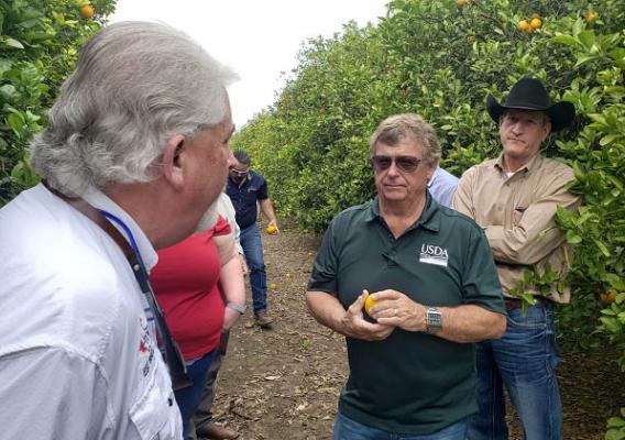 RMA Administrator Martin Barbre talks to five male and one female farmers in an orange orchard with trees surrounding them.