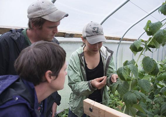 Carissa Stein, an NRCS Soil Conservationist, helps farmers in Vermont