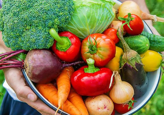 Bowl of freshly harvested crops